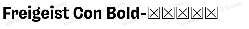 Freigeist Con Bold字体转换